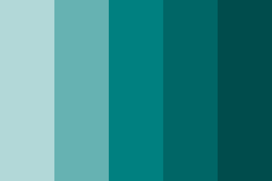 Read more about the article The Power of Colour: Why Your Website’s Palette Matters
