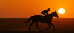 Going Bush? Why Regional Events Still Need a Strong Online Presence