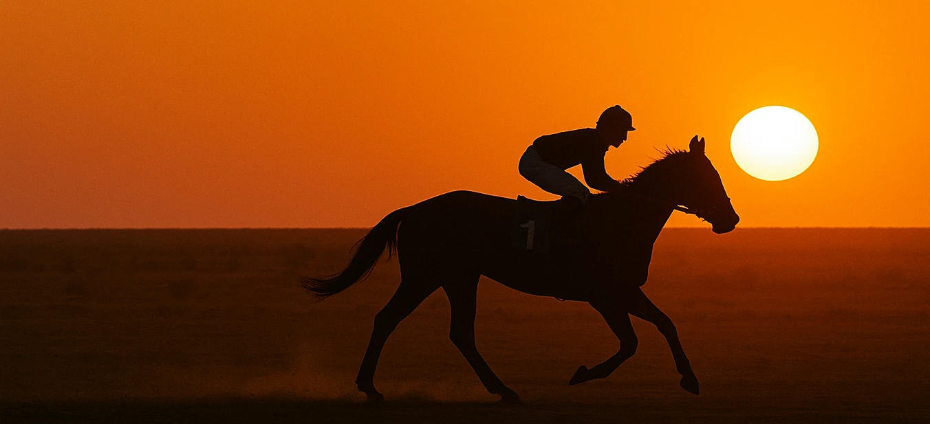 Read more about the article Going Bush? Why Regional Events Still Need a Strong Online Presence
