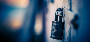 Who’s Responsible for Keeping Your Website Secure?