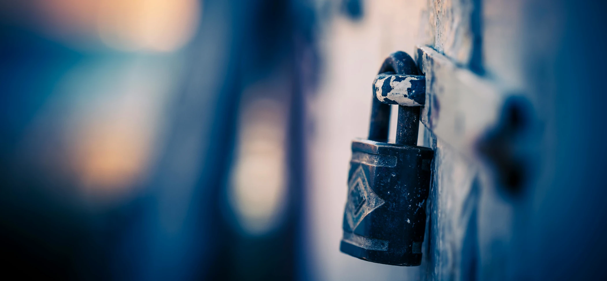 Read more about the article Who’s Responsible for Keeping Your Website Secure?
